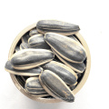 sementes de girassol híbridas, sementes de girassol para consumo humano, sementes de girassol descascadas.